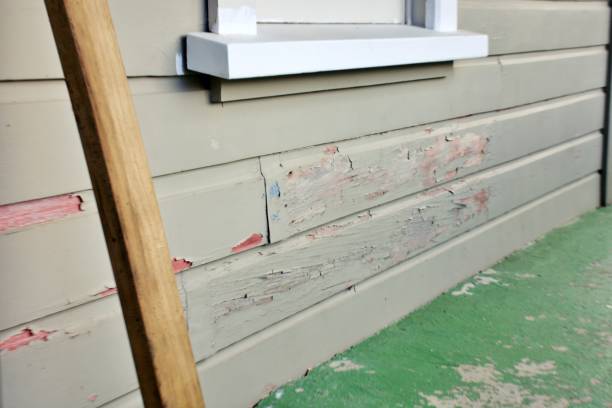 Best Siding Painting and Refinishing  in Malone, FL