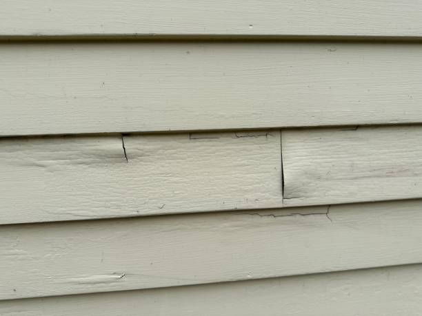 Affordable siding repair and maintenance services in Malone, FL