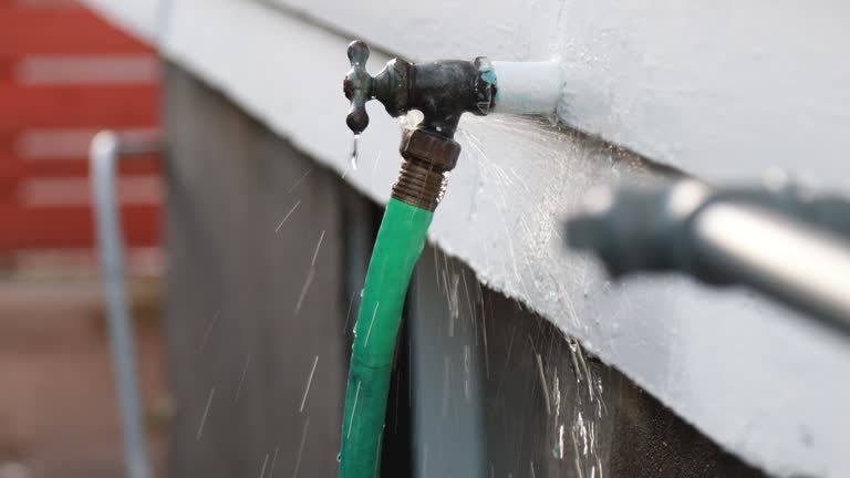 Best Custom Trim and Detailing for Siding  in Malone, FL